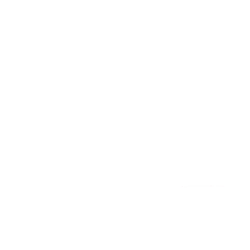 Shoe Trend Updates